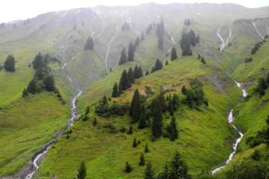 austrian, Alps, Mountains, Trees, Streams, Landscape