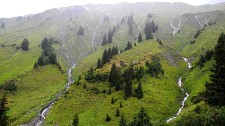 austrian, Alps, Mountains, Trees, Streams, Landscape HD Wallpaper Desktop Background