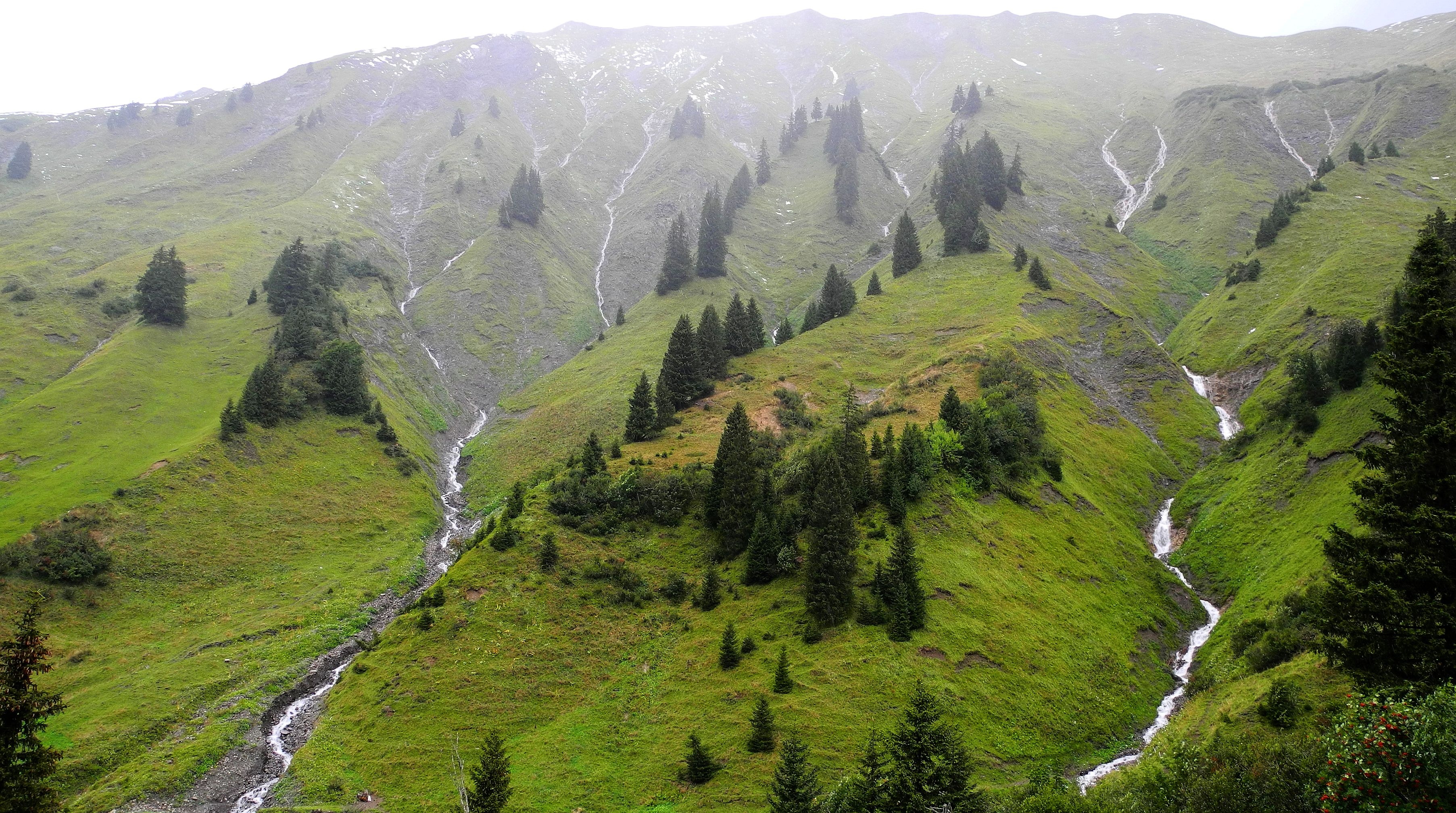 austrian, Alps, Mountains, Trees, Streams, Landscape Wallpaper