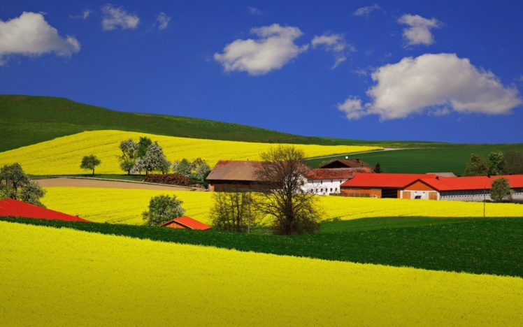 fields, Meadows, Houses HD Wallpaper Desktop Background