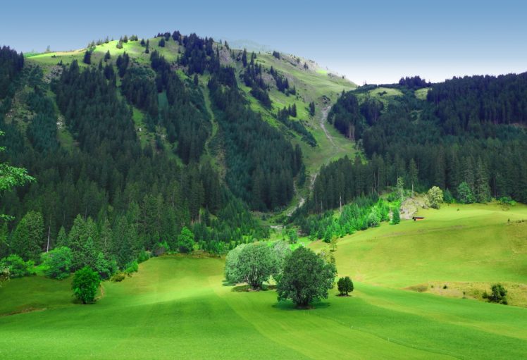 fields, Mountains, Trees, Landscape HD Wallpaper Desktop Background