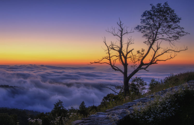 mountain, Tree, Clouds, Morning, Peak HD Wallpaper Desktop Background