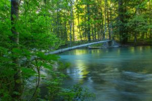 river, Forest, Trees, Bridge, Nature