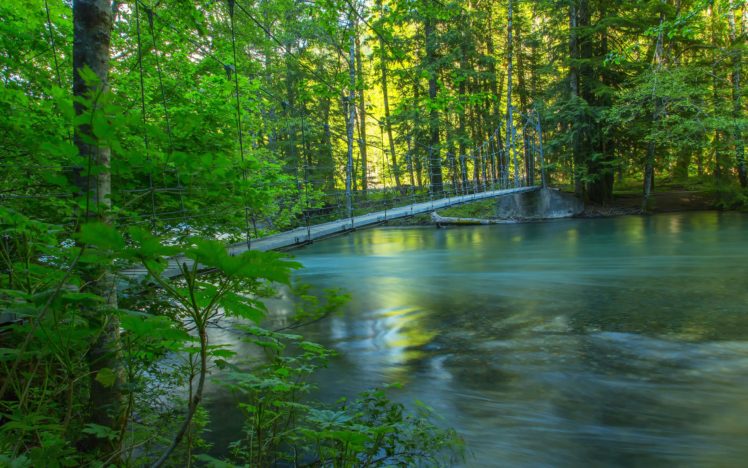 river, Forest, Trees, Bridge, Nature HD Wallpaper Desktop Background