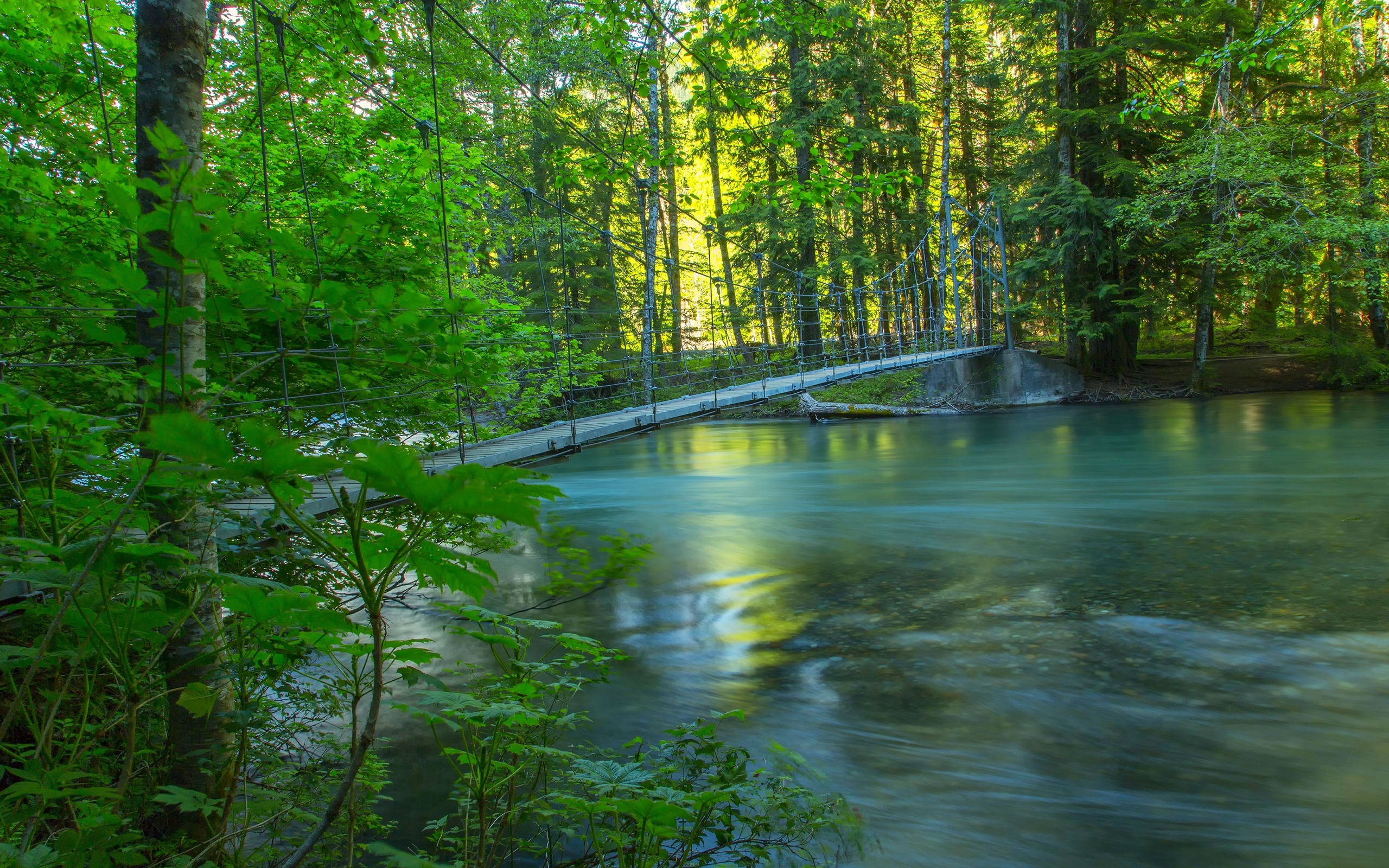 river, Forest, Trees, Bridge, Nature Wallpaper