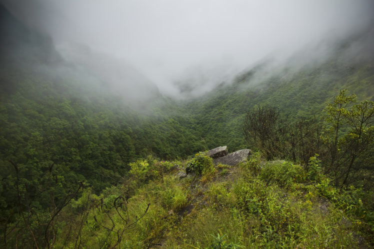 valley, Fog, Mountains, Forest HD Wallpaper Desktop Background