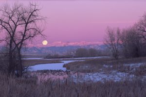 moon, Colorado, Swamps