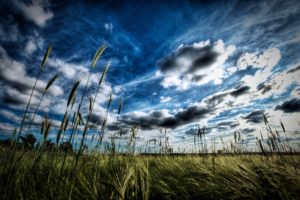 landscapes, Grass, Hdr, Photography