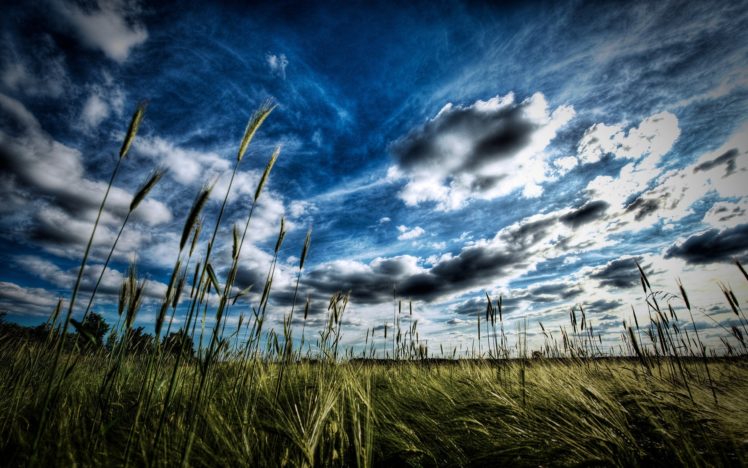 landscapes, Grass, Hdr, Photography HD Wallpaper Desktop Background