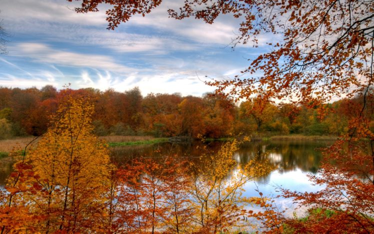 landscapes, Nature, Autumn, Forests HD Wallpaper Desktop Background
