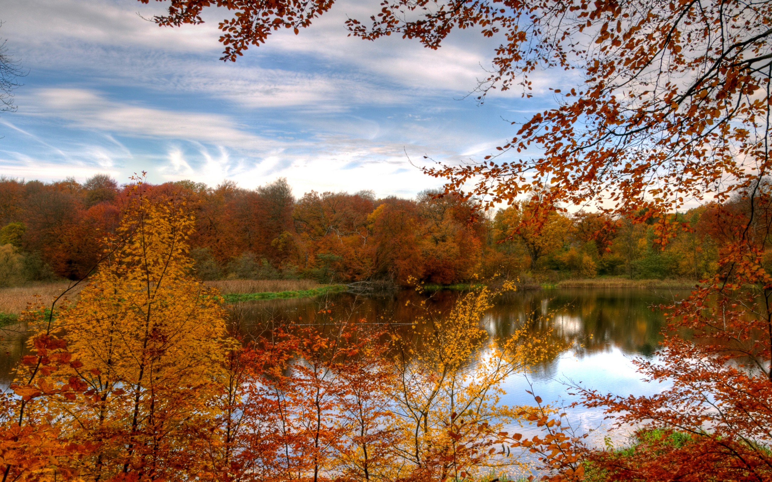landscapes, Nature, Autumn, Forests Wallpaper