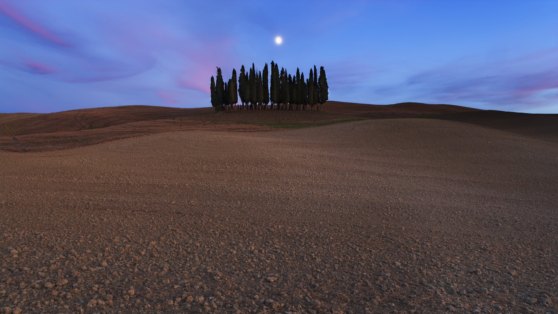 landscapes, Trees, Italy, Siena, Cypress, Cipressi, San, Quirico, Dand039orcia Wallpaper