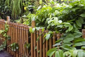 nature, Bamboo, Bridges, Plants