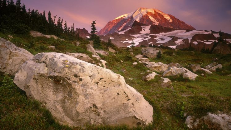 sunset, Meadows, Spray, Parks, Washington, Mount, Rainier HD Wallpaper Desktop Background