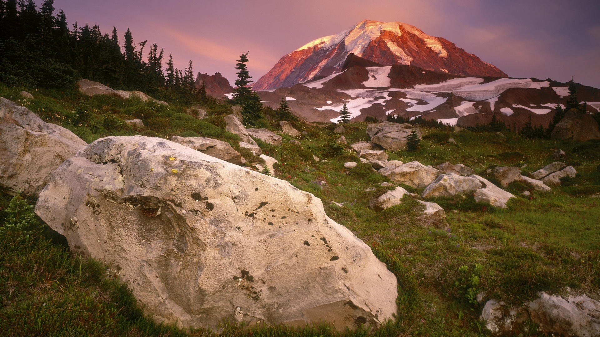 sunset, Meadows, Spray, Parks, Washington, Mount, Rainier Wallpaper