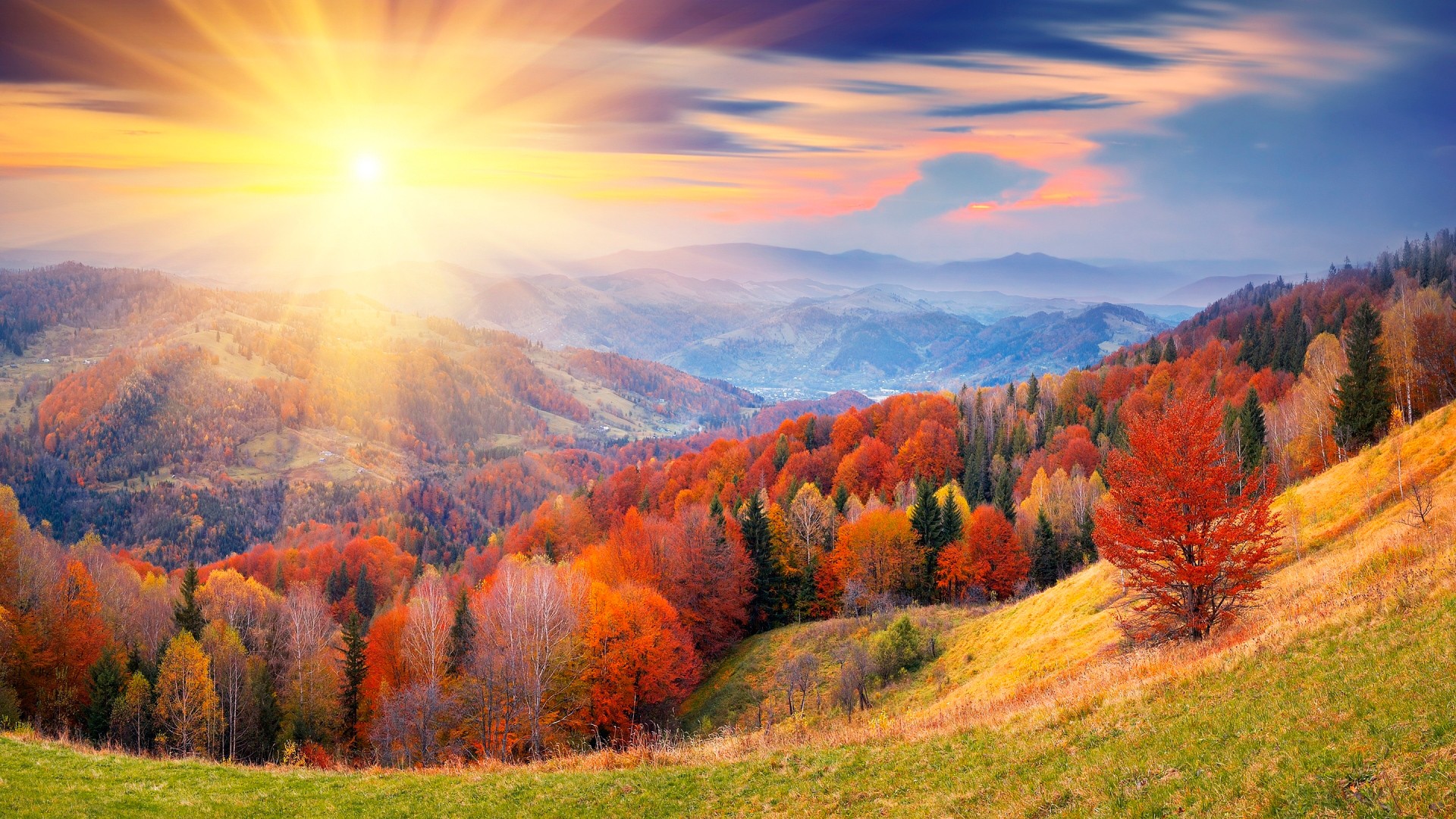 nature Wallpaper