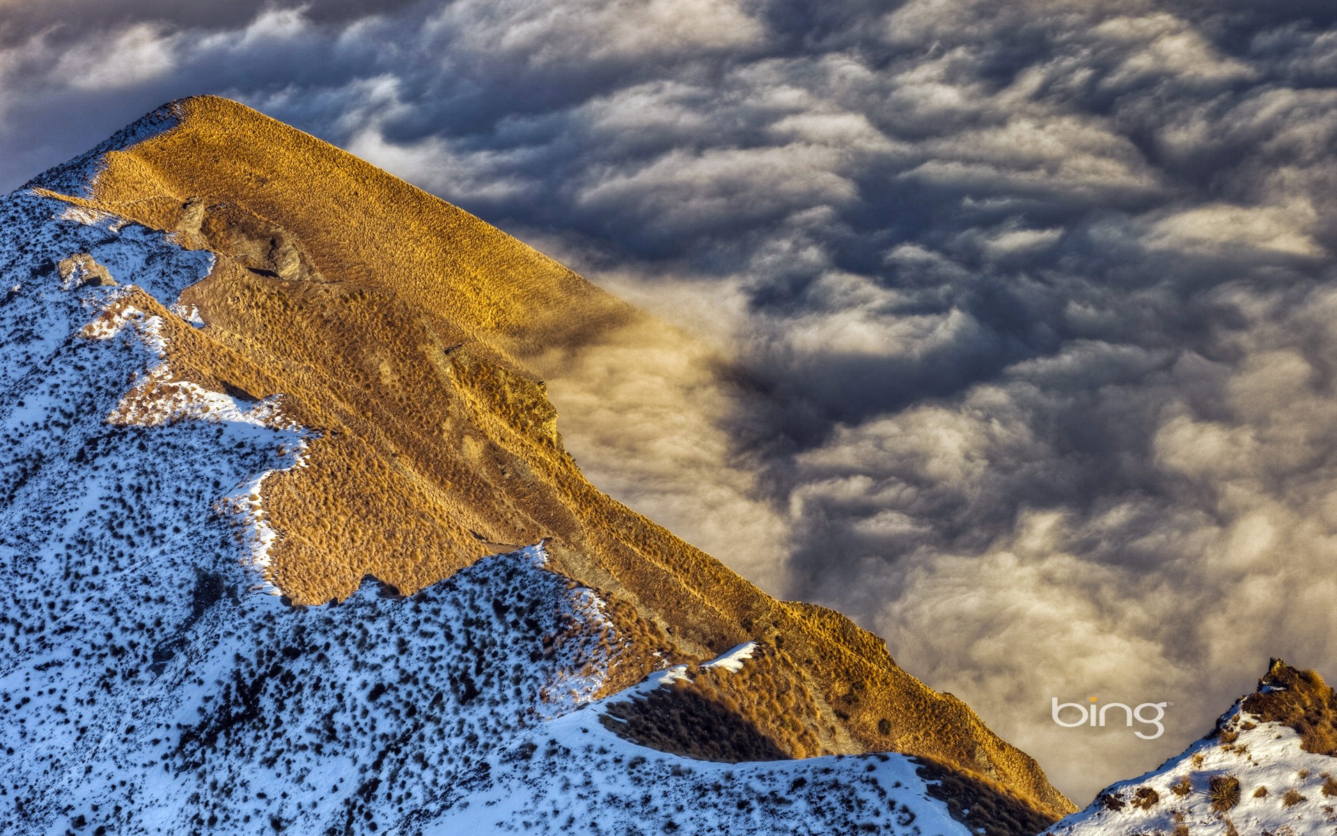 bing Wallpaper