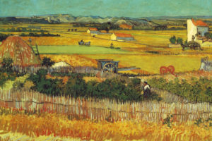 paintings, Vincent, Van, Gogh, Artwork, Plaine, De, La, Crau