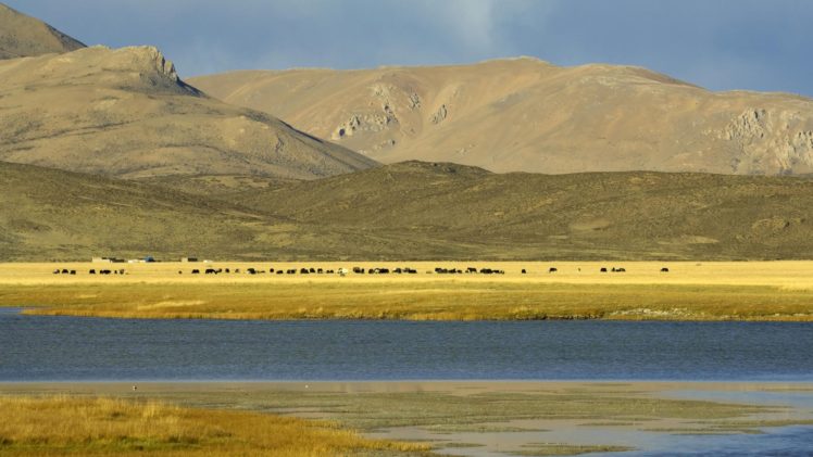 nature, Tibet HD Wallpaper Desktop Background