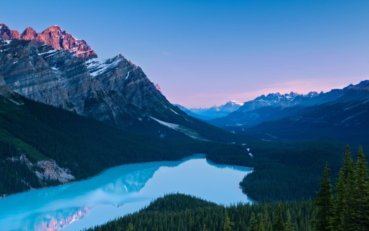 peyto, Lake,  , Banff, National, Park HD Wallpaper Desktop Background