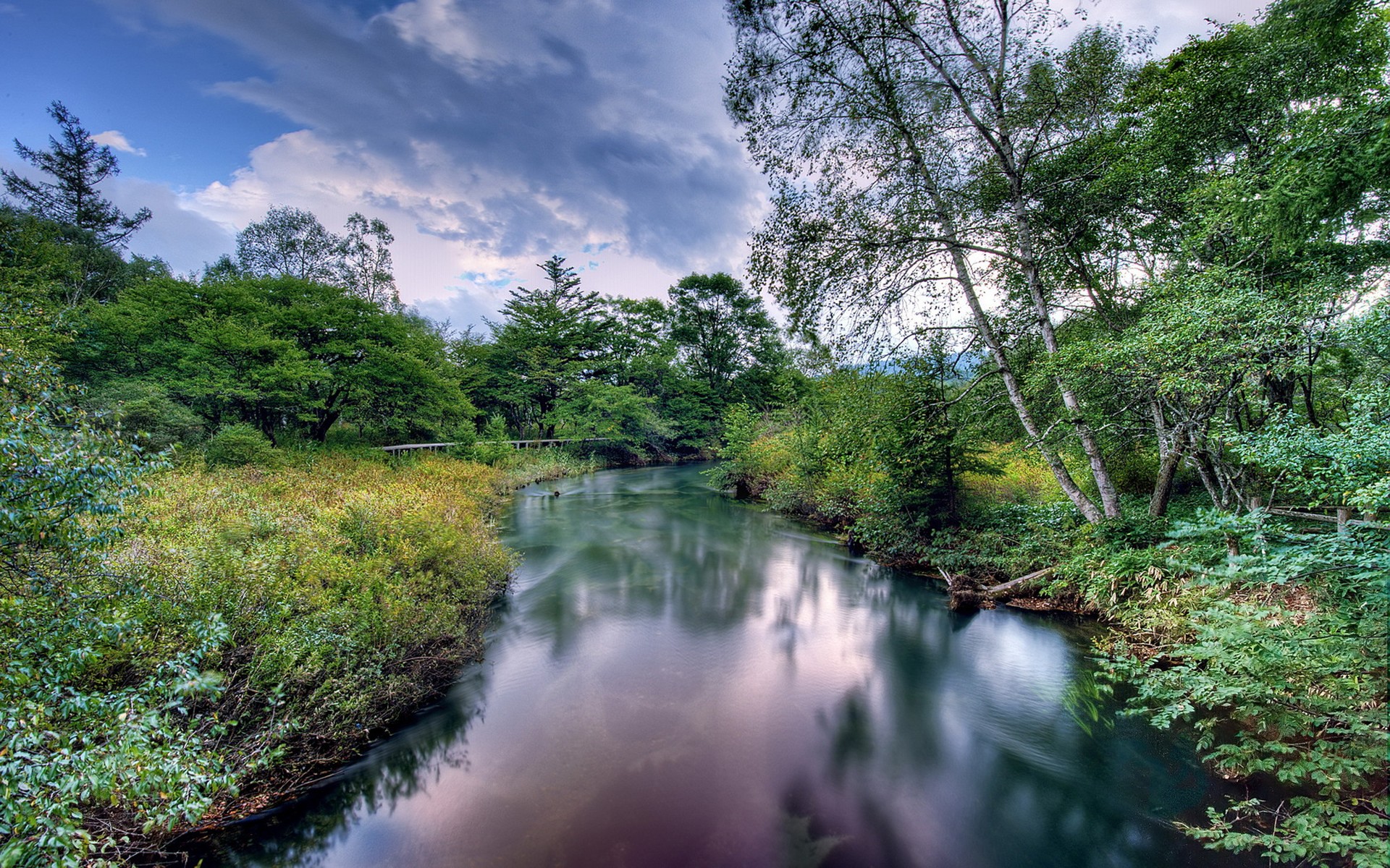 nature Wallpaper