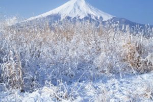 japan, Winter, Snow, Mount, Fuji