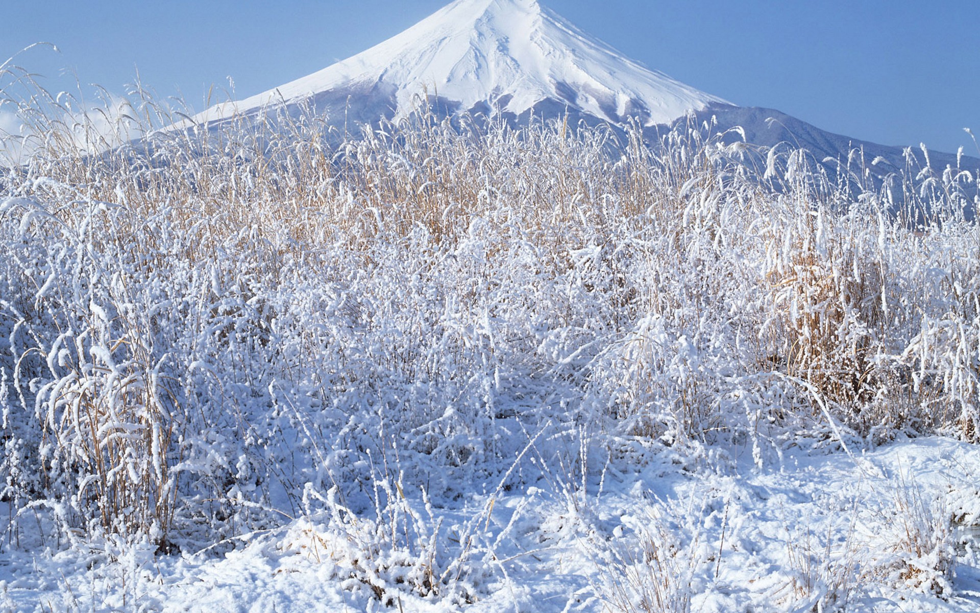 japan, Winter, Snow, Mount, Fuji Wallpaper