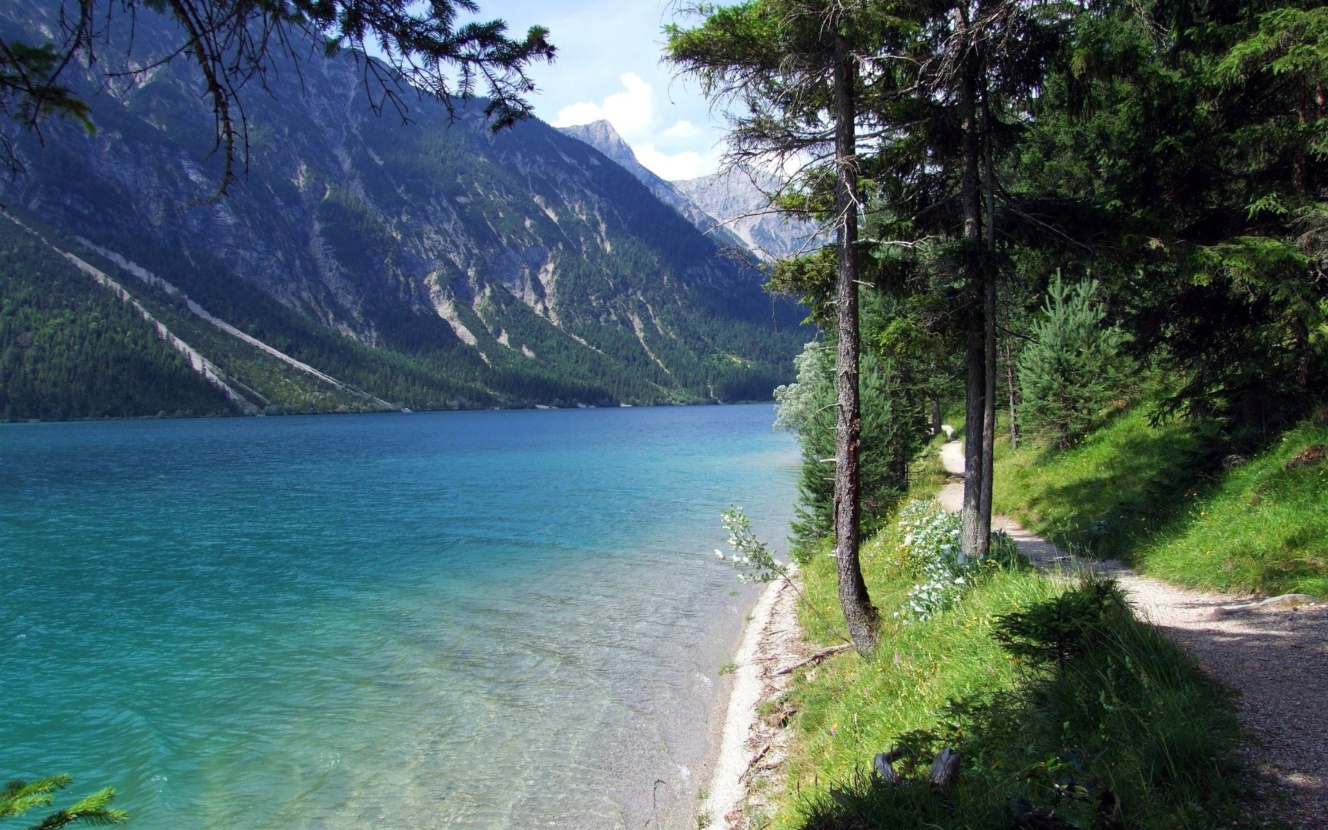 nature Wallpaper