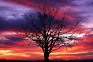 sunset, Trees, Red, Silhouettes, National, Park, Shenandoah