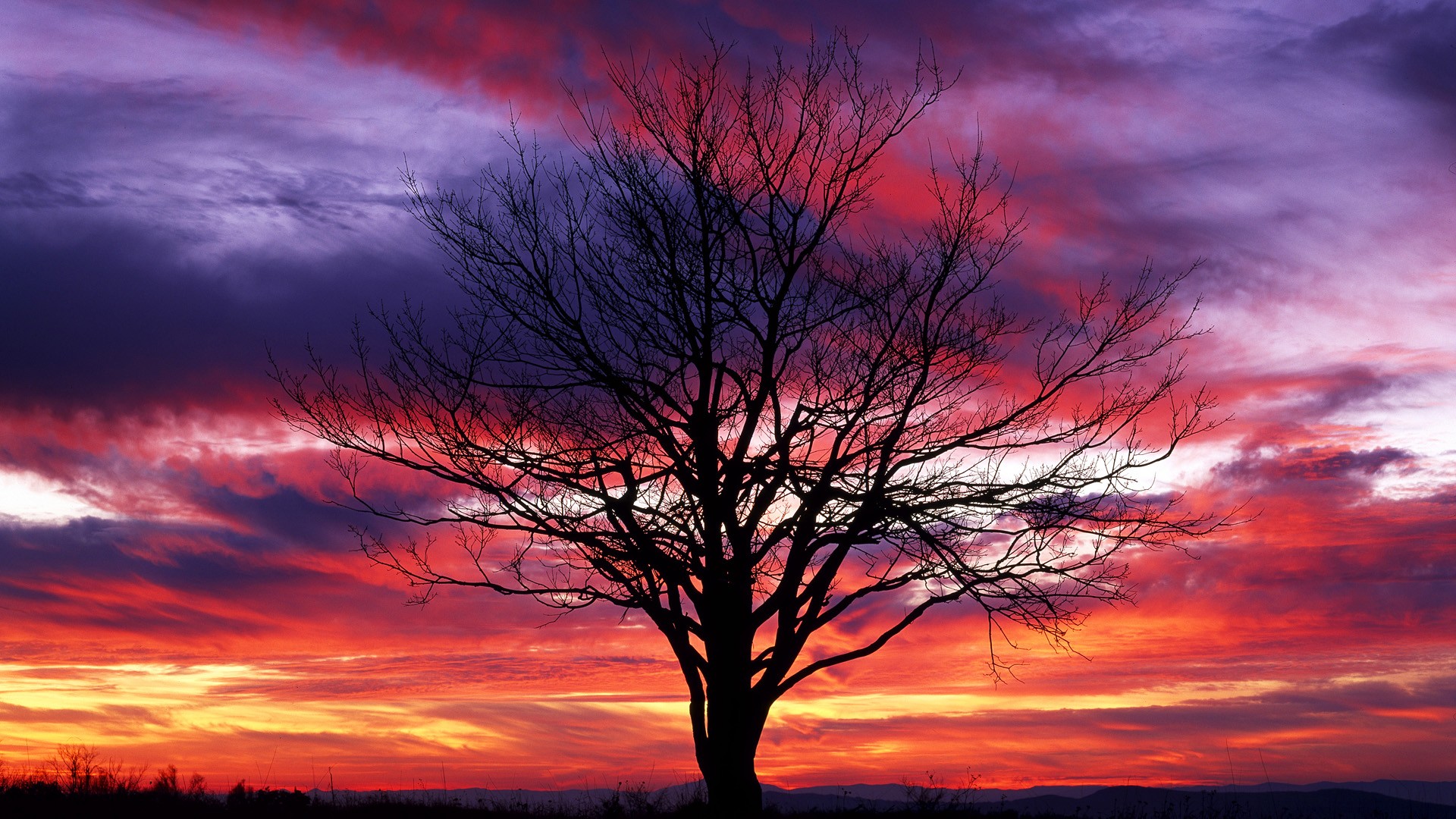 sunset, Trees, Red, Silhouettes, National, Park, Shenandoah Wallpaper