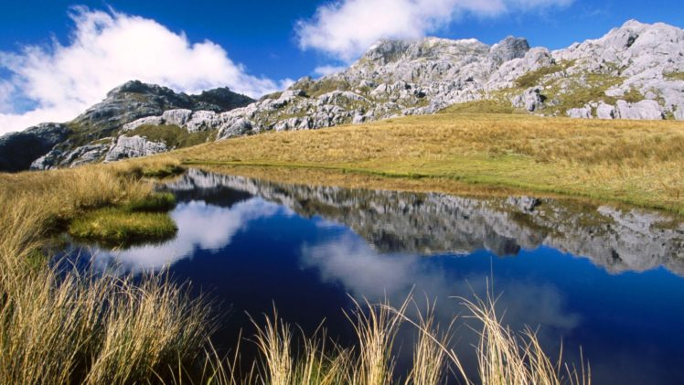 landscapes, Owen, New, Zealand, National, Park, Mount HD Wallpaper Desktop Background