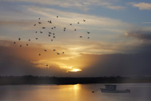 birds, Sunset, Boat, Lake