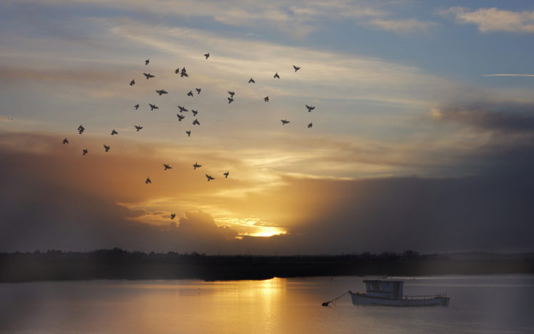 birds, Sunset, Boat, Lake HD Wallpaper Desktop Background