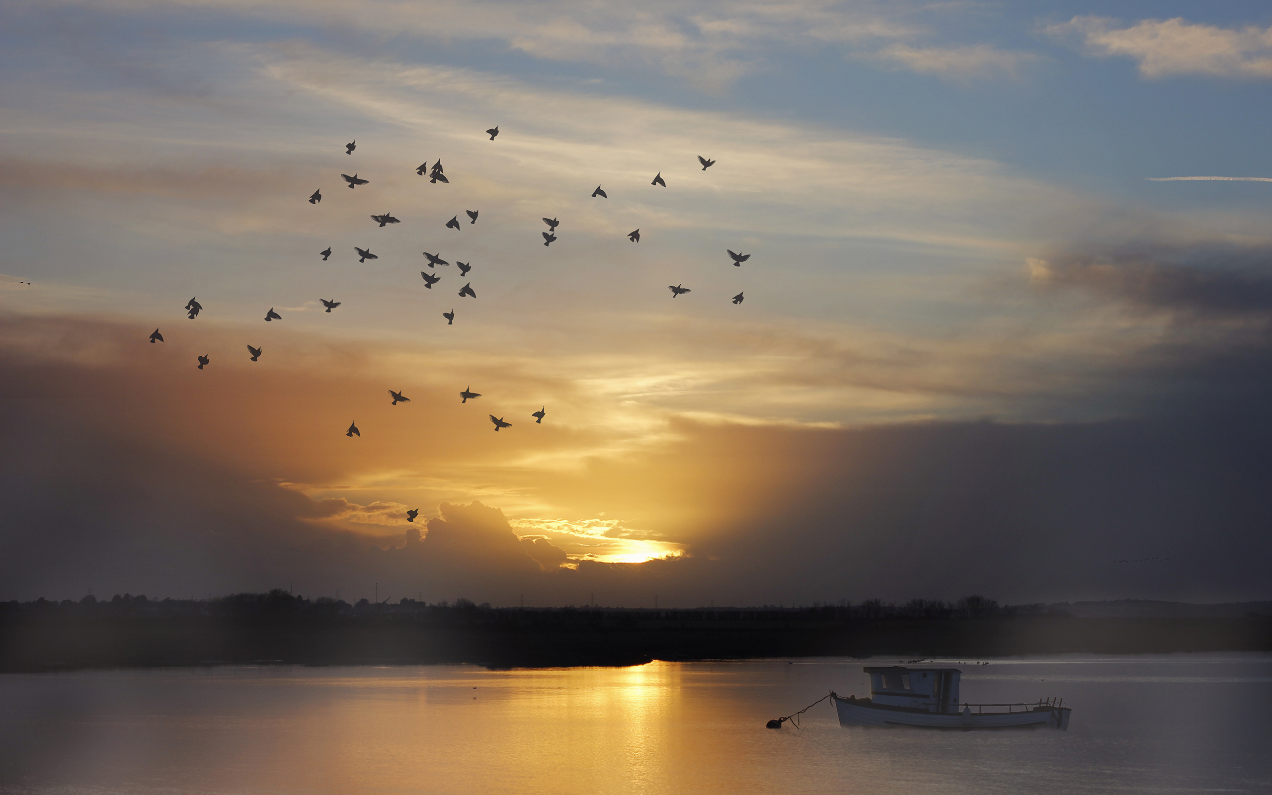 birds, Sunset, Boat, Lake Wallpaper