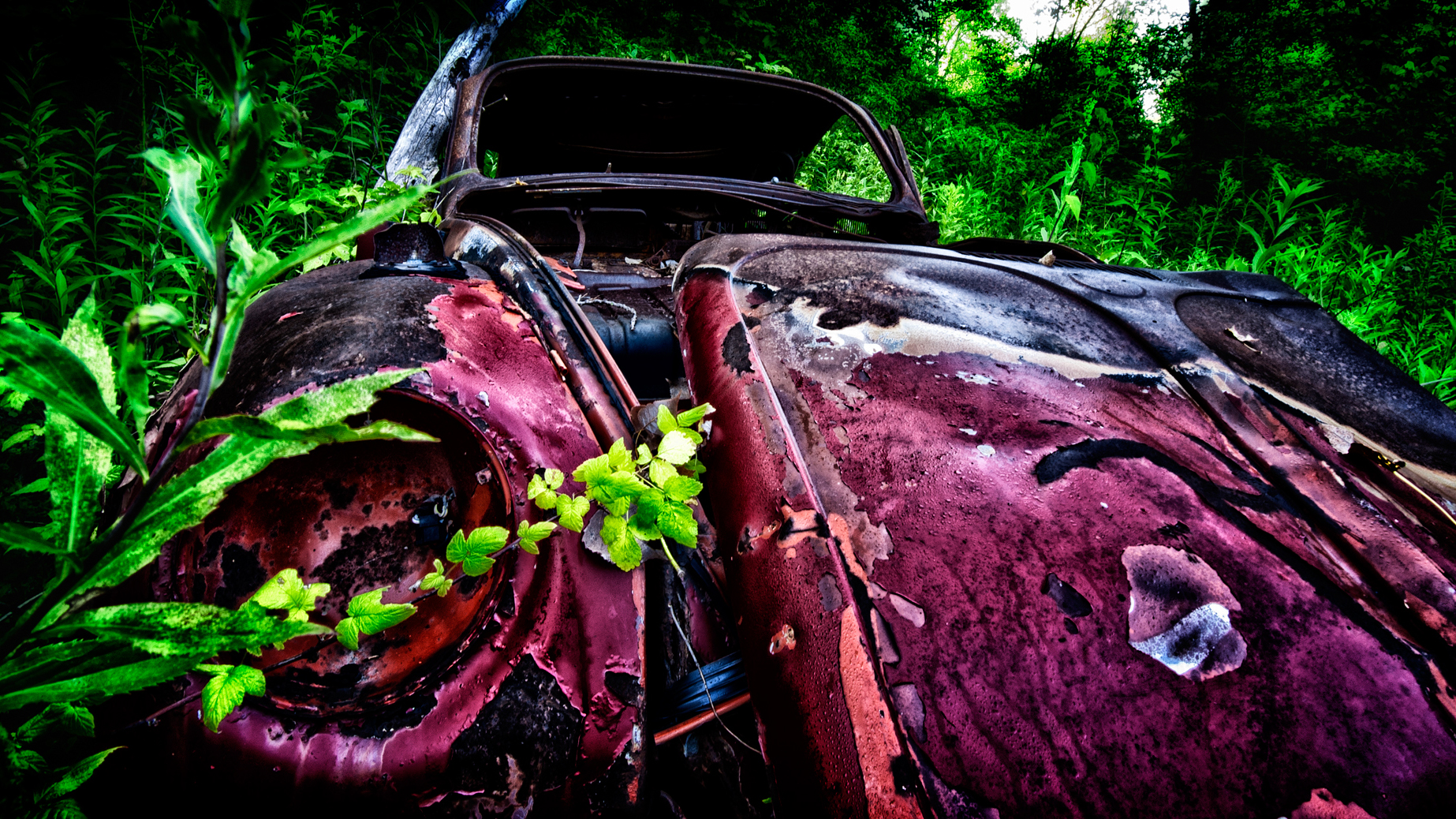 volkswagen, Bug, Volkswagen, Classic, Car, Classic, Abandon, Deserted Wallpaper