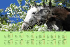 calendar, 2014, Horse