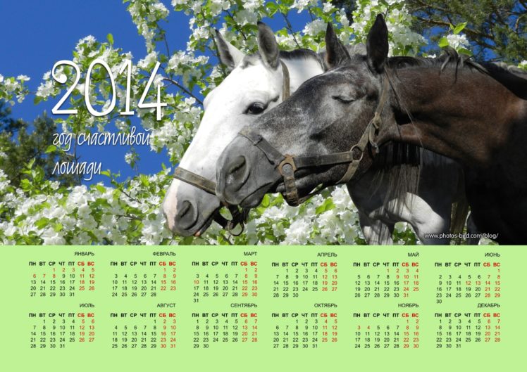 calendar, 2014, Horse HD Wallpaper Desktop Background