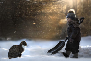 cats, Winter, Winter, Hat, Snow, Boys, Children, Animals