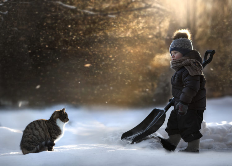 cats, Winter, Winter, Hat, Snow, Boys, Children, Animals HD Wallpaper Desktop Background