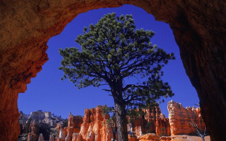 landscapes, Nature, Bryce, Canyon, Utah HD Wallpaper Desktop Background