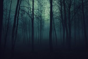 nature, Trees, Dark, Forests, Fog, Mist, Gloomy