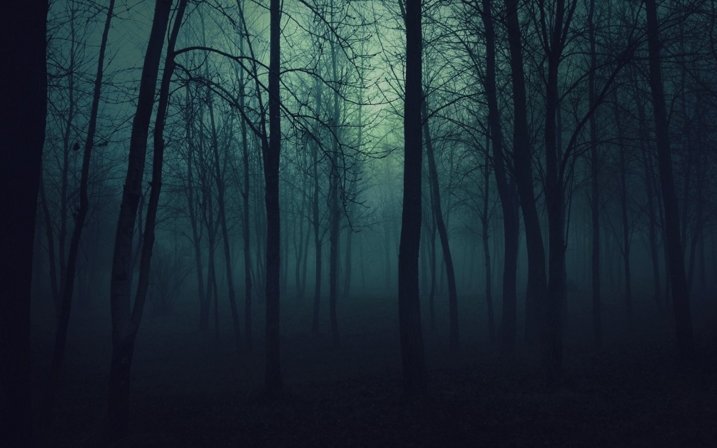 Nature Trees Dark Forests Fog Mist Gloomy Wallpapers Hd Desktop And Mobile Backgrounds