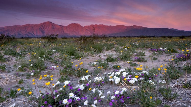 mountains, Deserts, California, Rosa, Parks, Santa HD Wallpaper Desktop Background