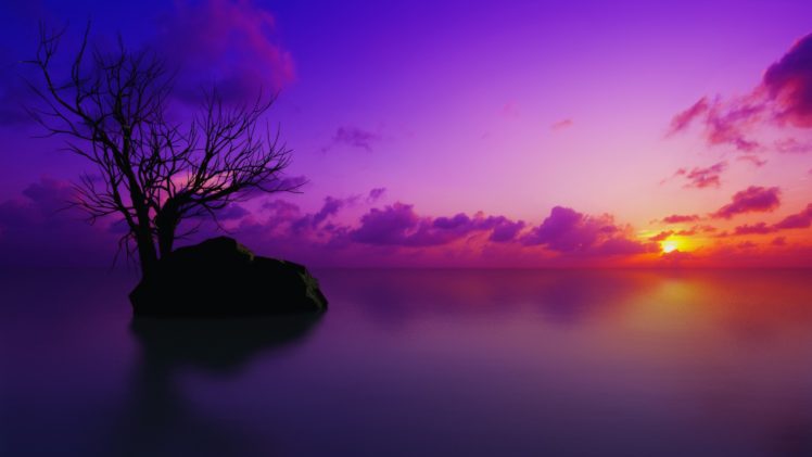 trees, Purple HD Wallpaper Desktop Background
