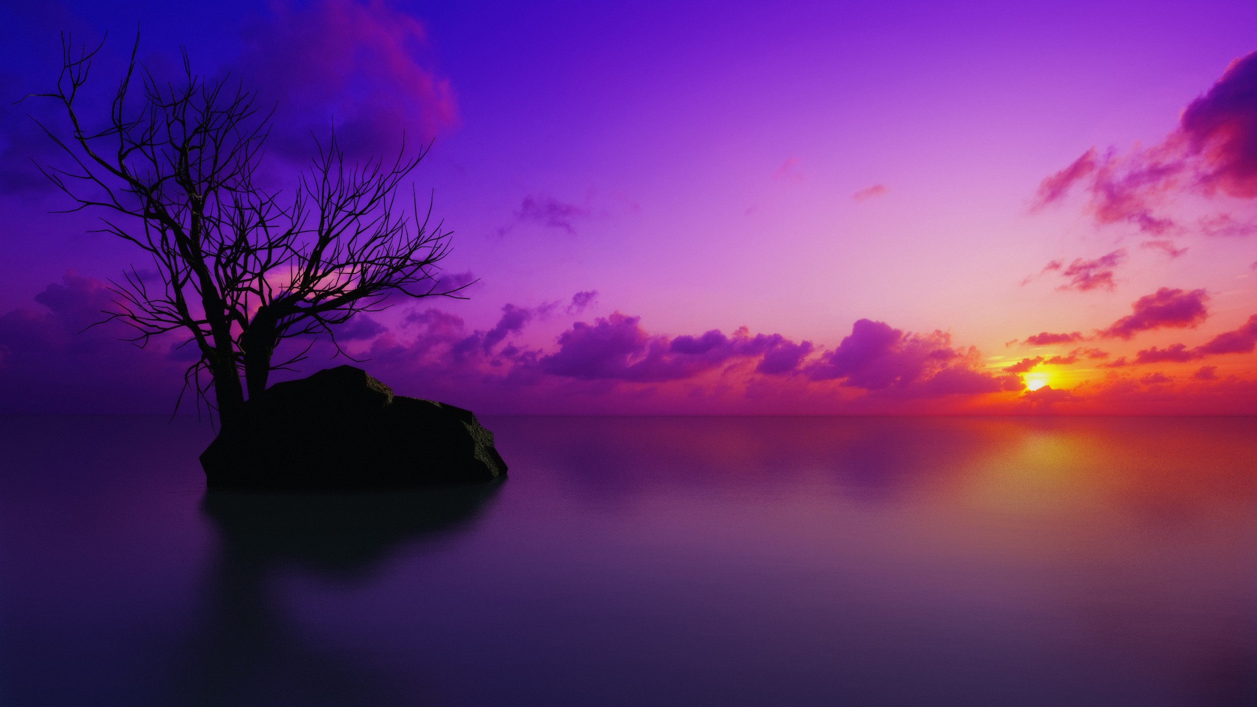 trees, Purple Wallpaper