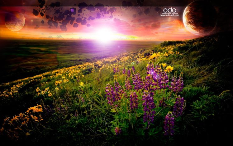 sunset, Sunrise, Landscapes, Sun, Fields, Photo, Manipulation HD Wallpaper Desktop Background