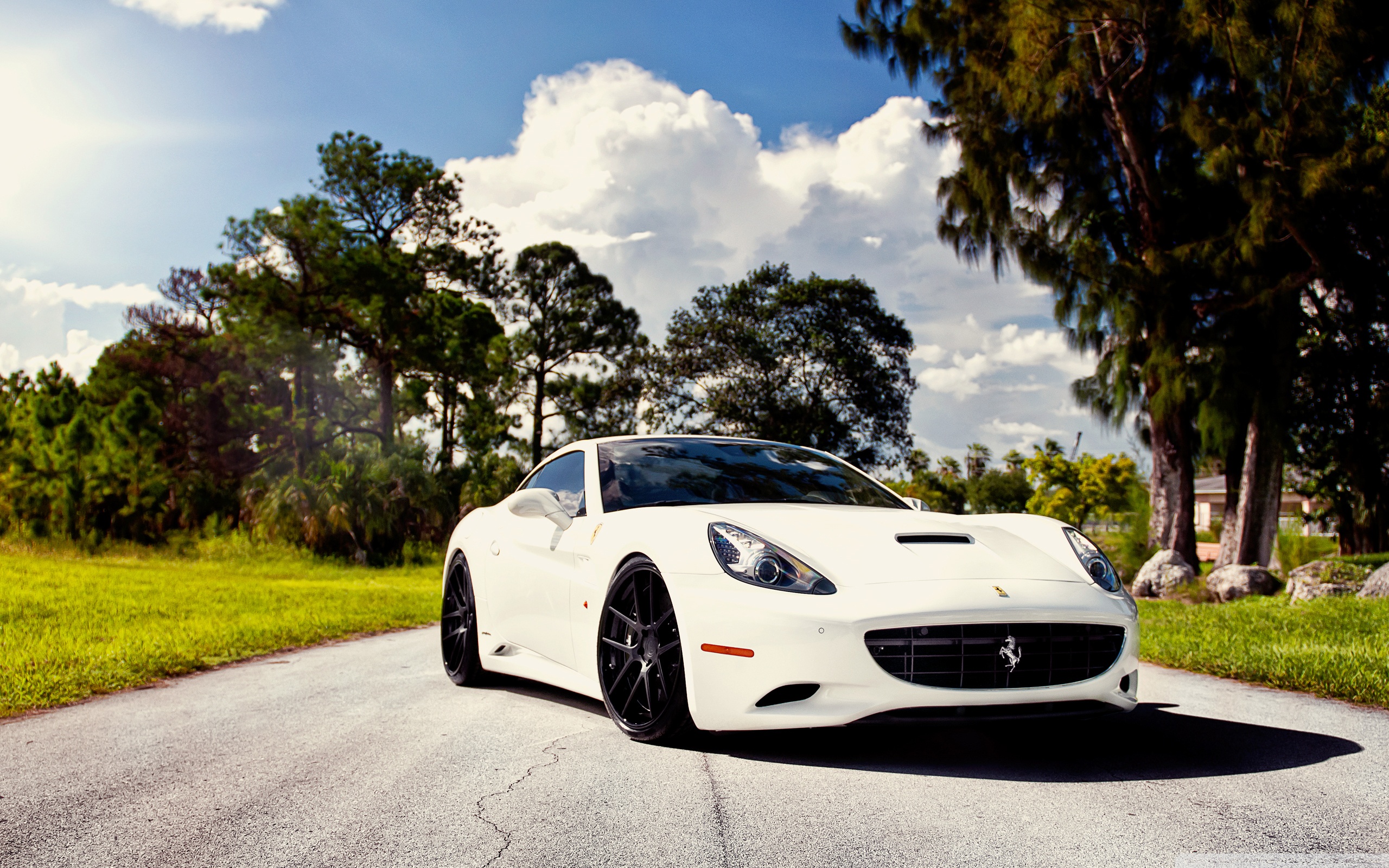 , Ferrari, Wallpaper Wallpaper