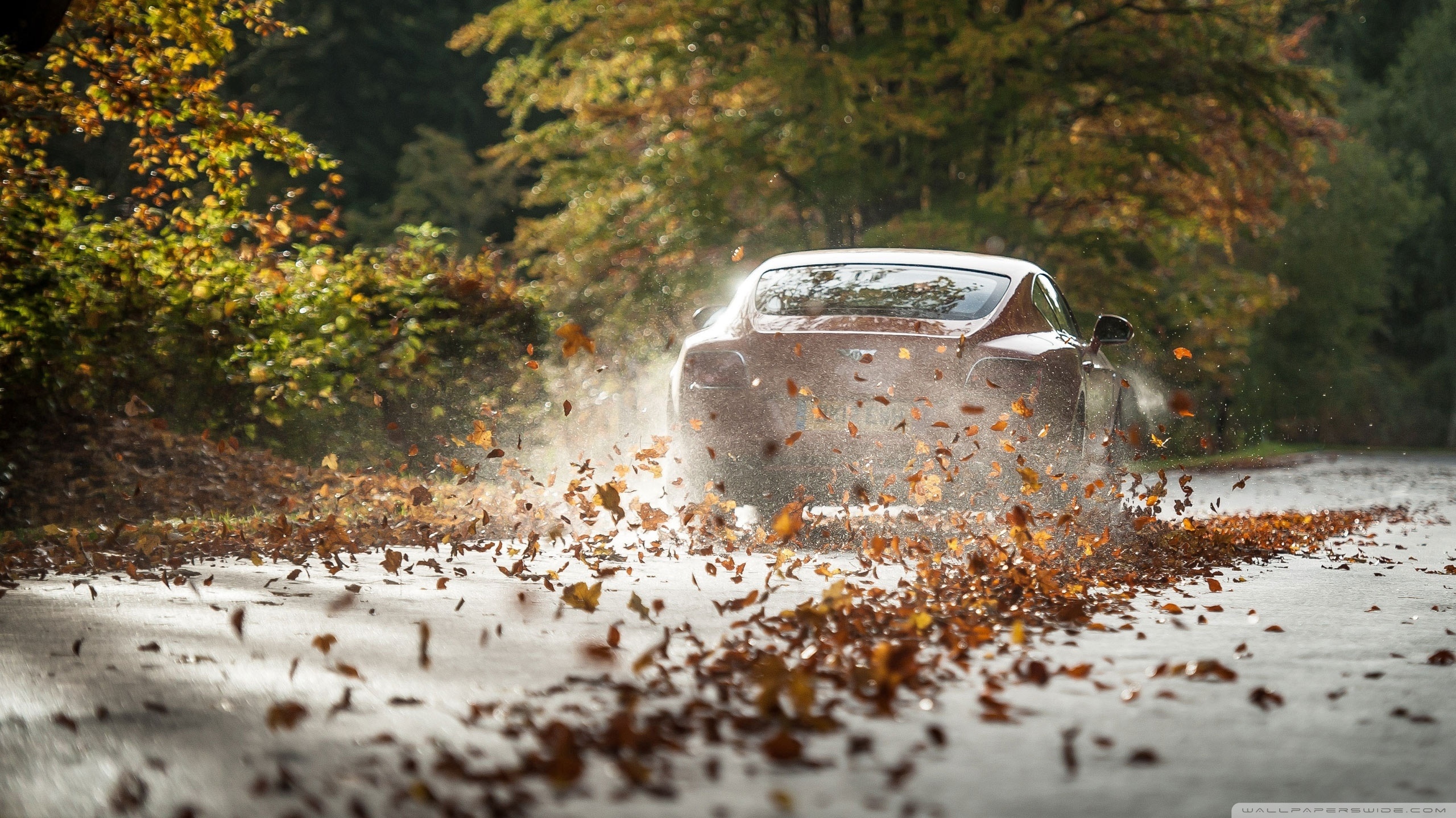 bentley Wallpaper