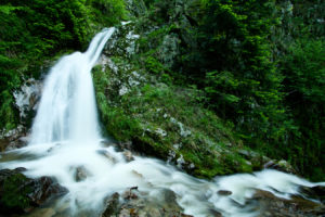 green, Water, Waterfalls