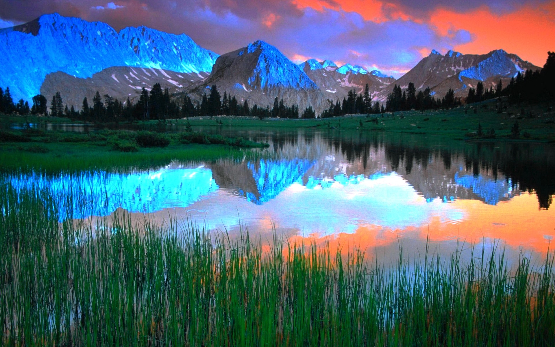 blue, Clouds, Landscapes, Trees, Lakes, Reflections Wallpaper